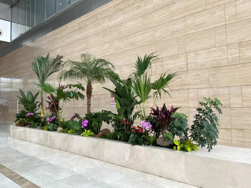 杭州湾盆景租摆哪家好