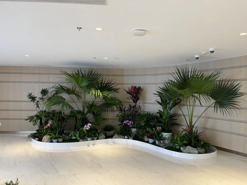 宁波杭州湾绿化修剪设计，打造别样绿色景观！